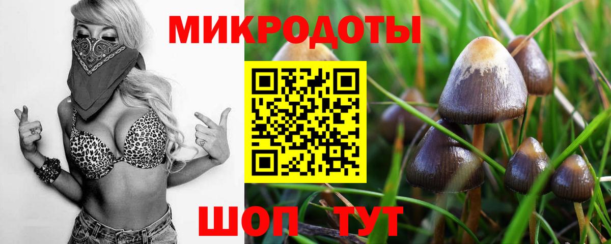 Псилоцибиновые грибы прущие грибы  Вход с VPN  Кунгур 